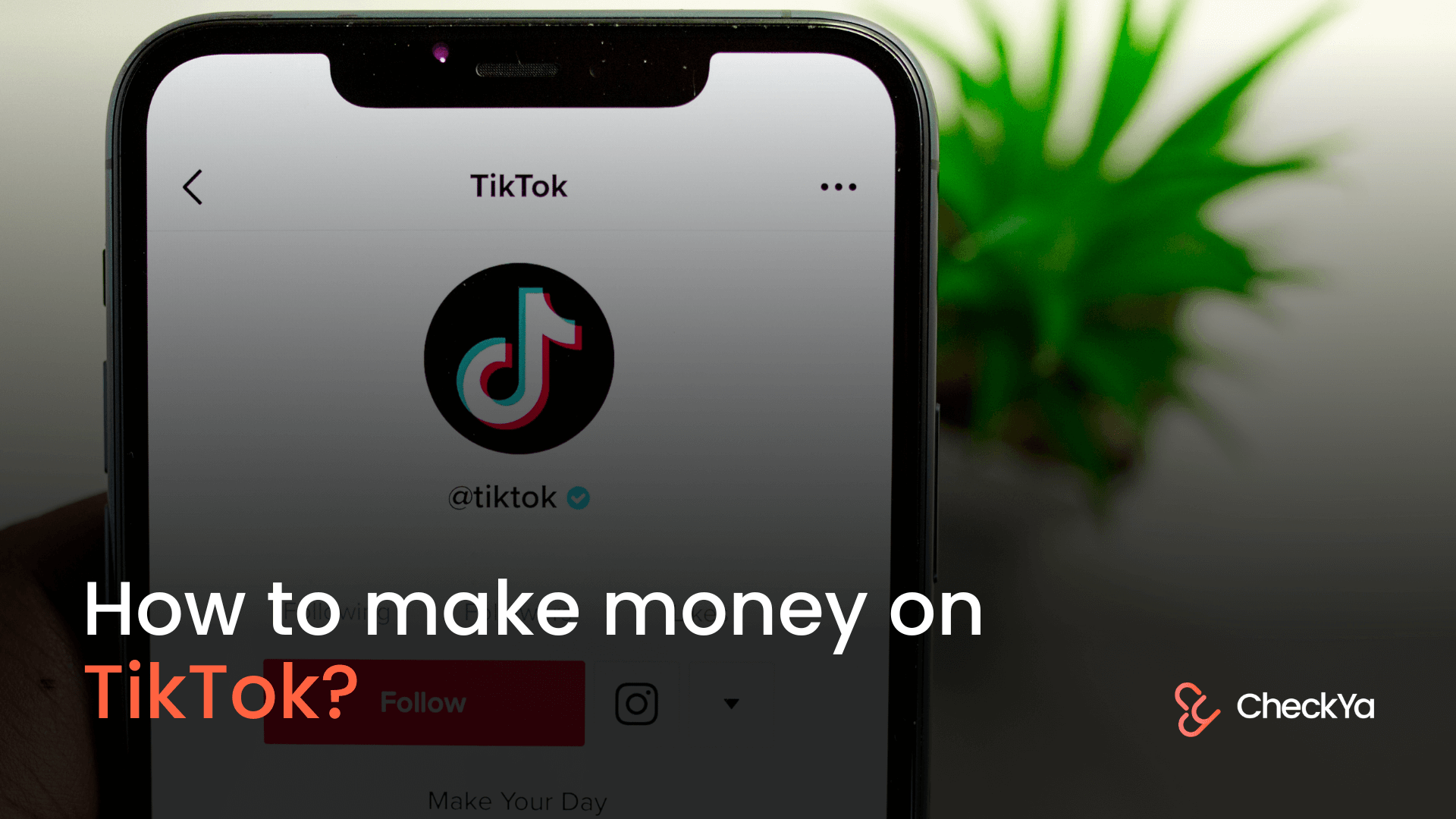 How To Make Money On TikTok