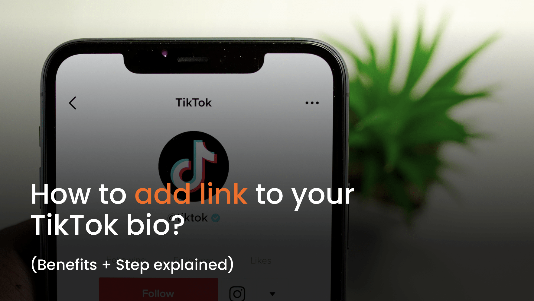 How to Add a Link To Your TikTok Bio